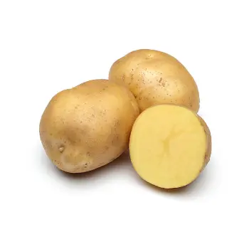 potato (4)-5732204-94623.webp